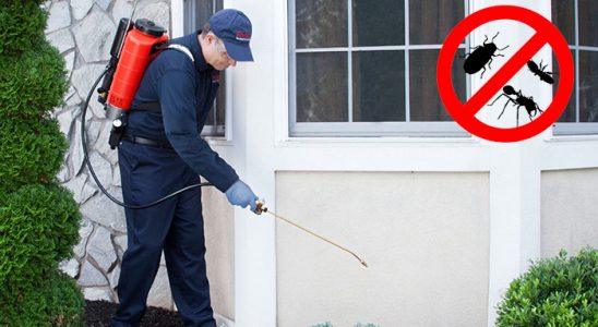 Akyazı Tahtakurusu İlaçlama böcek ilaçlama ve haşere kontrolü — ilaclama-tr.com